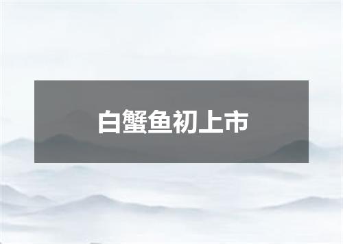 白蟹鱼初上市