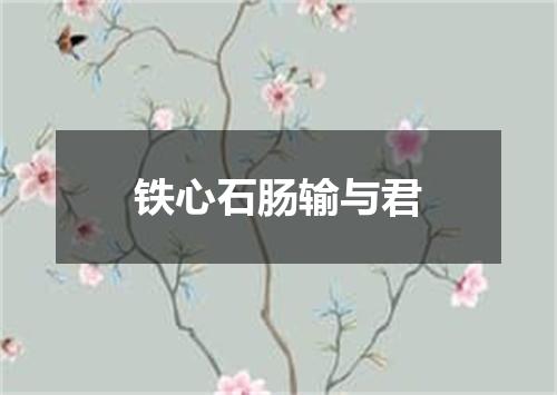 铁心石肠输与君