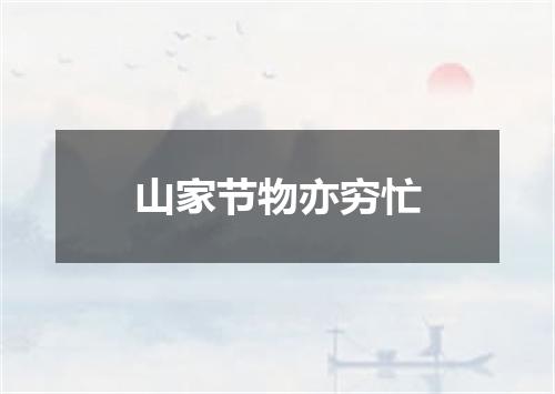 山家节物亦穷忙