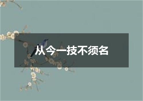 从今一技不须名