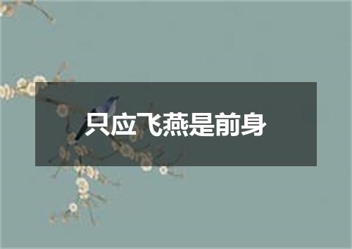 只应飞燕是前身