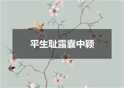 平生耻露囊中颖