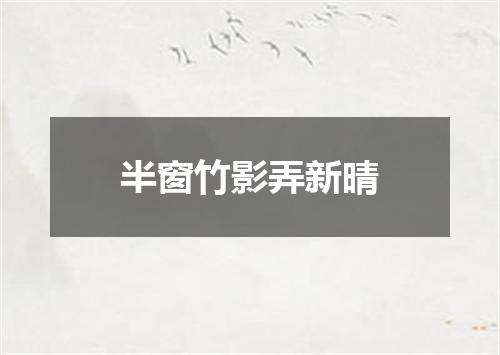 半窗竹影弄新晴