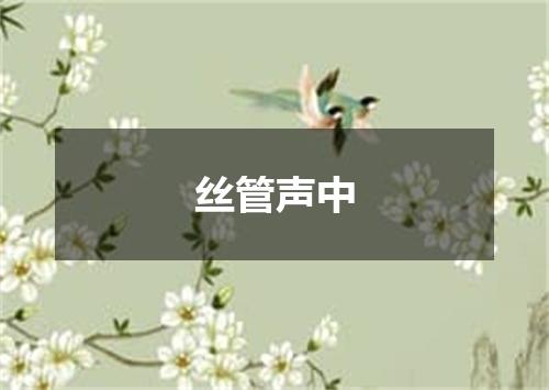 丝管声中