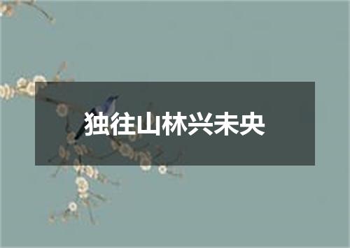 独往山林兴未央