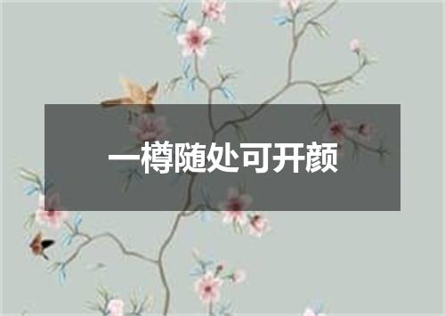 一樽随处可开颜