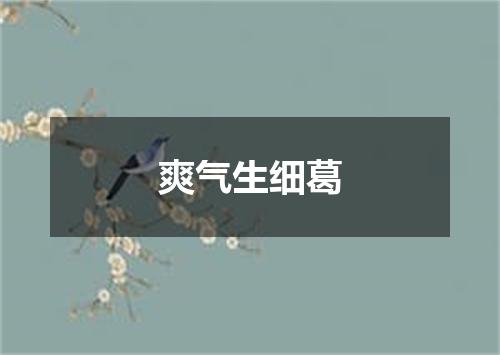 爽气生细葛