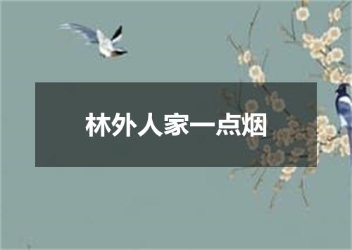林外人家一点烟
