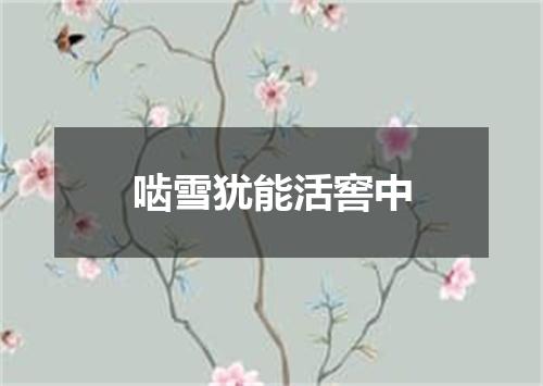 啮雪犹能活窖中