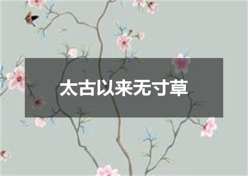 太古以来无寸草