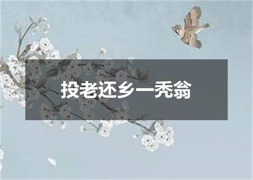 投老还乡一秃翁