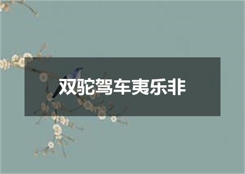 双驼驾车夷乐非