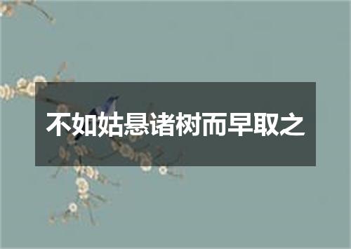 不如姑悬诸树而早取之