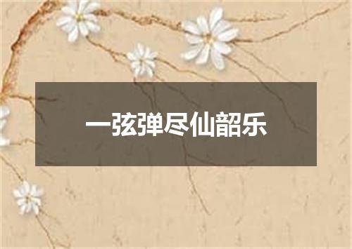 一弦弹尽仙韶乐
