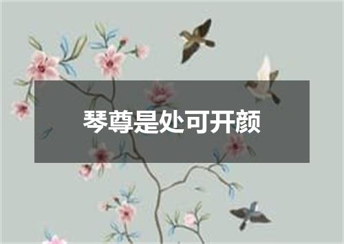 琴尊是处可开颜