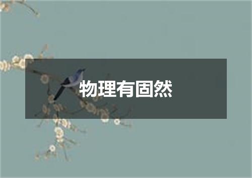 物理有固然