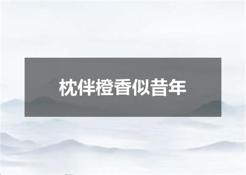 枕伴橙香似昔年