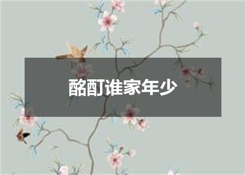 酩酊谁家年少