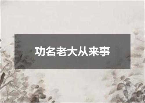 功名老大从来事