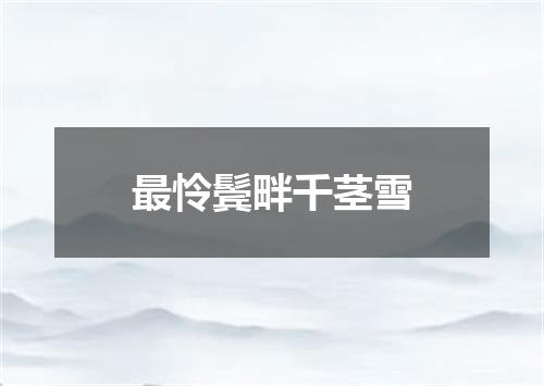最怜鬓畔千茎雪