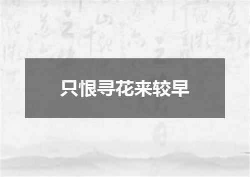 只恨寻花来较早