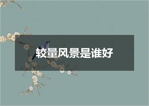 较量风景是谁好