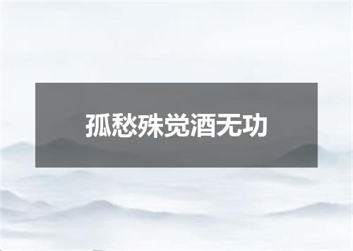 孤愁殊觉酒无功