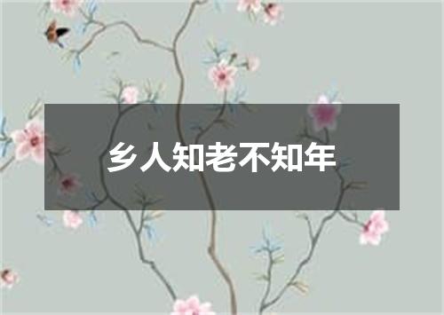 乡人知老不知年