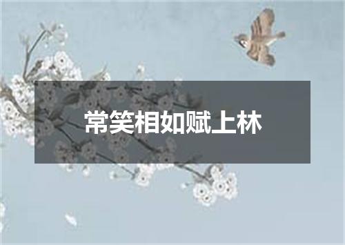 常笑相如赋上林