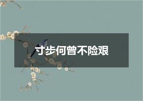 寸步何曾不险艰