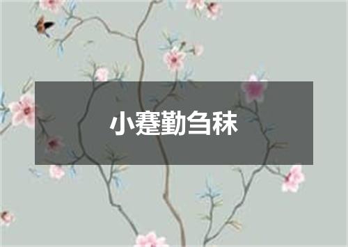 小蹇勤刍秣