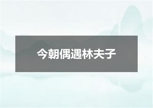 今朝偶遇林夫子