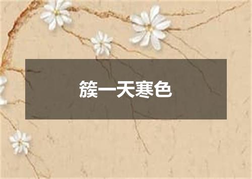 簇一天寒色