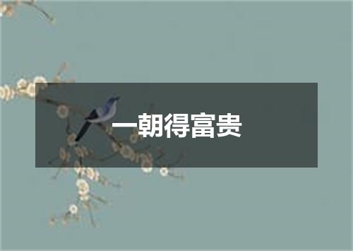一朝得富贵