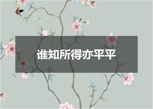 谁知所得亦平平