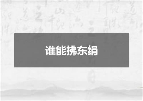 谁能拂东绢