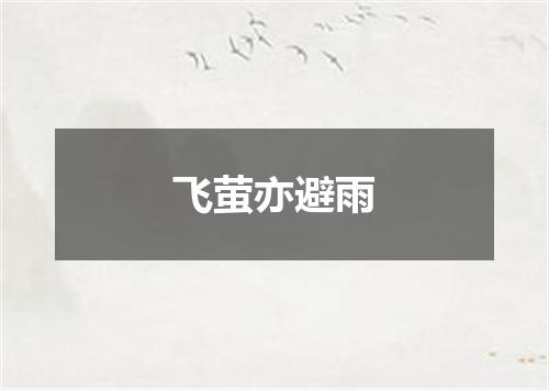 飞萤亦避雨