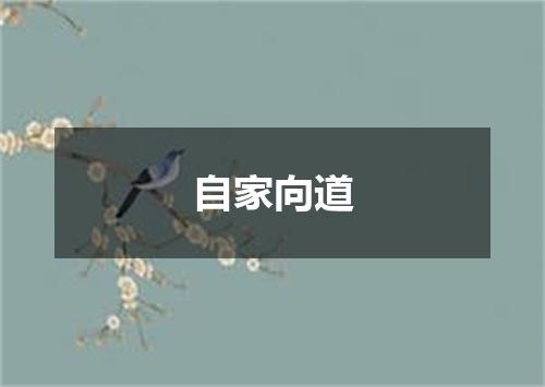 自家向道
