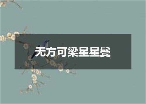 无方可梁星星鬓