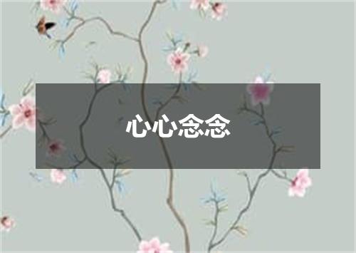 心心念念