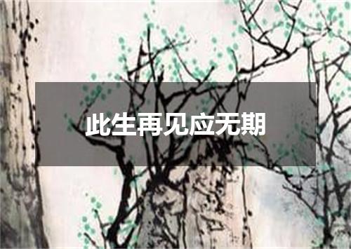 此生再见应无期