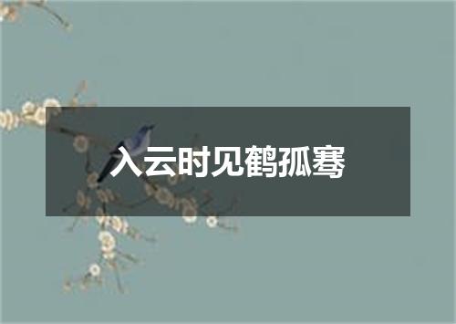 入云时见鹤孤骞