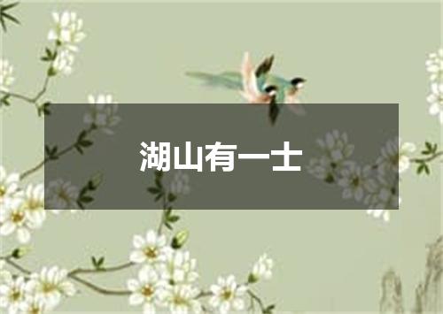 湖山有一士