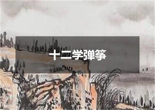 十二学弹筝