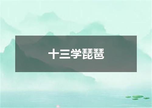 十三学琵琶