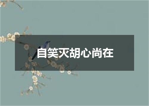 自笑灭胡心尚在