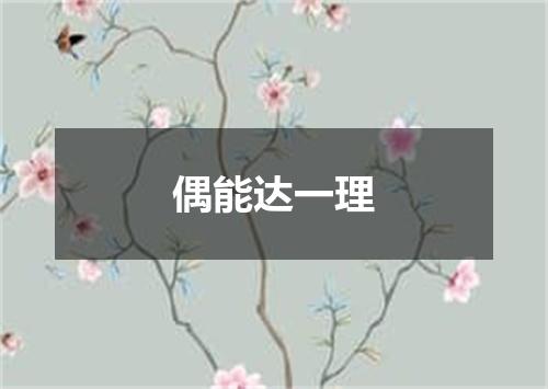 偶能达一理
