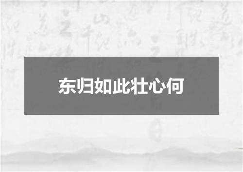 东归如此壮心何