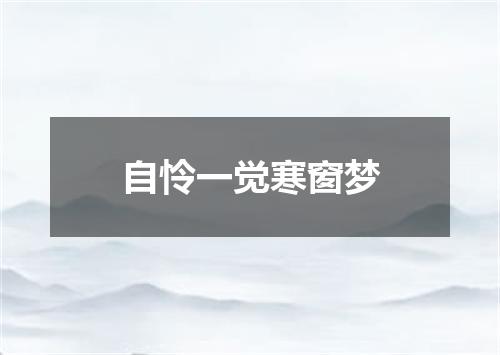 自怜一觉寒窗梦