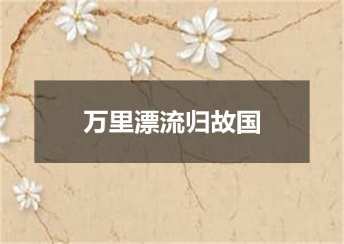 万里漂流归故国